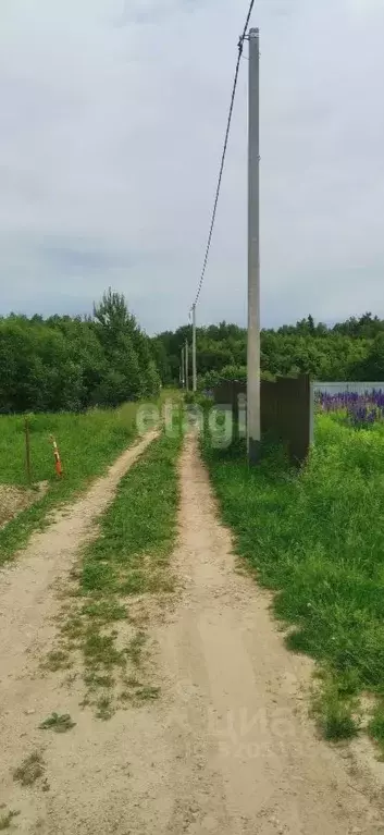 Участок в Калужская область, Калуга городской округ, д. Колюпаново  ... - Фото 2