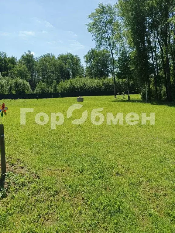 Продается дом в д. Романцево - Фото 2