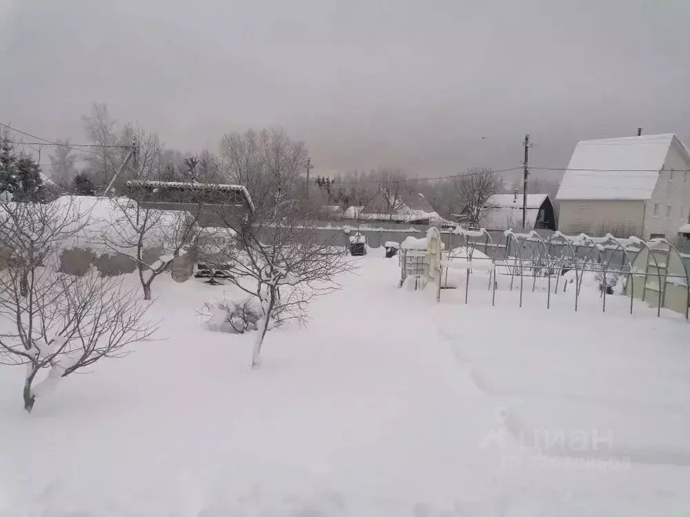 Участок в Ленинградская область, Кировское городское поселение, ... - Фото 2