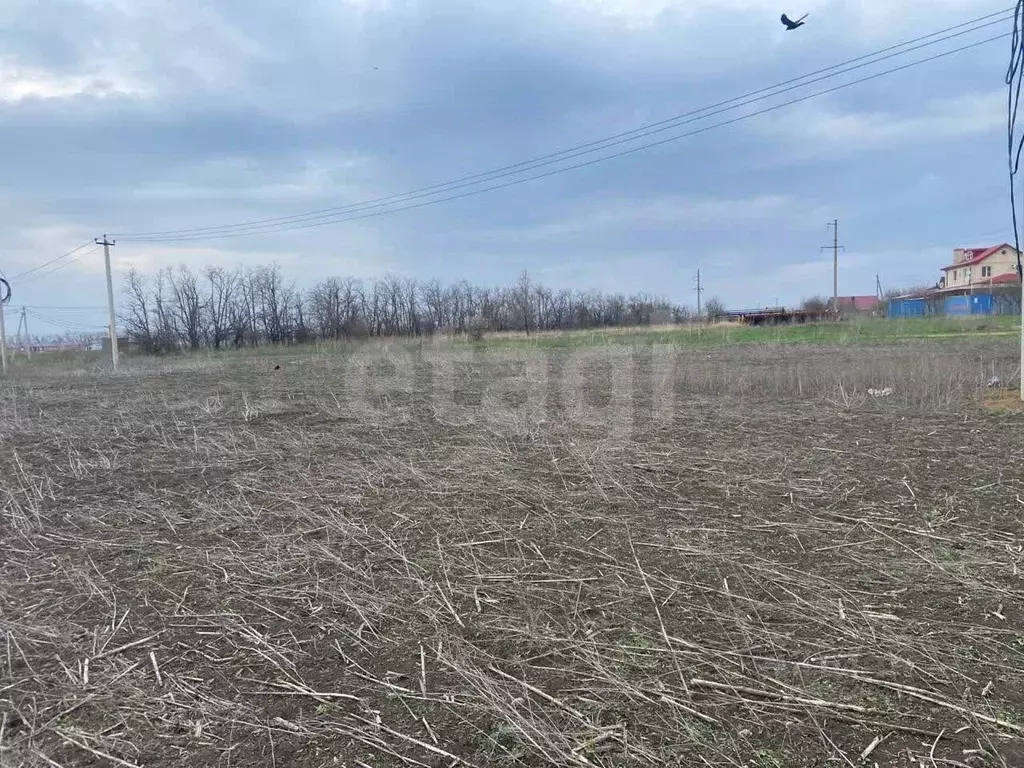 Участок в Ростовская область, Мясниковский район, с. Большие Салы ул. ... - Фото 2