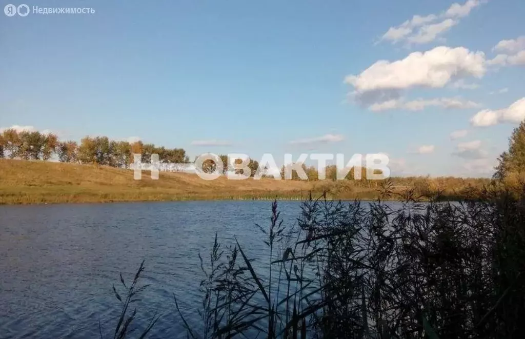 Участок в Мошковский район, село Томилово (98.78 м) - Фото 0