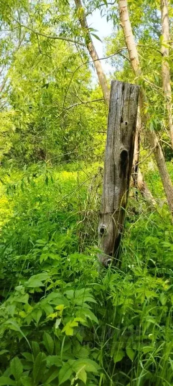 Участок в Калининградская область, Гурьевский муниципальный округ, ... - Фото 1