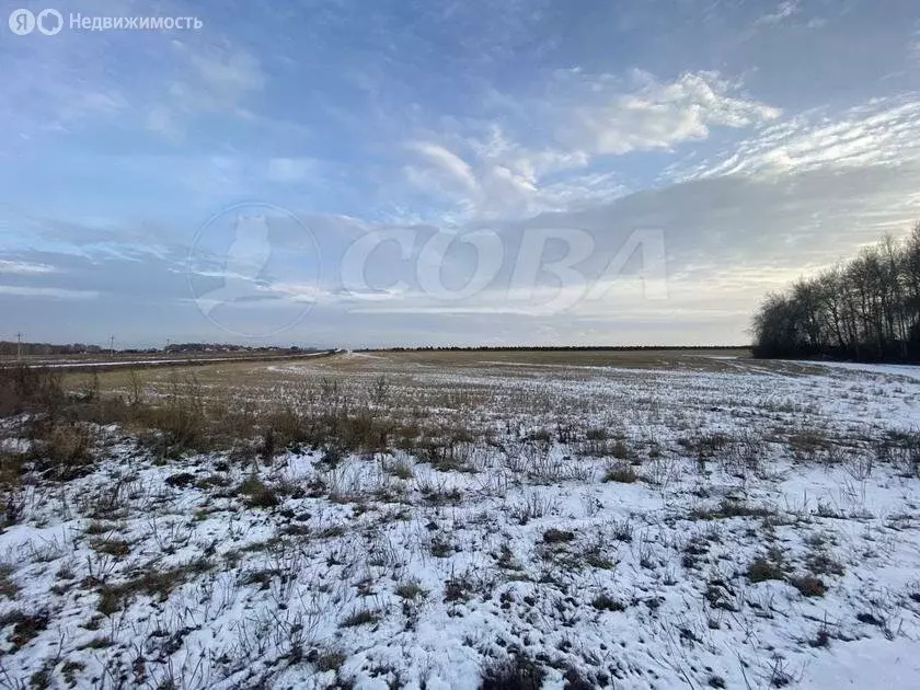 Участок в Тюменский муниципальный округ, село Каменка (15 м) - Фото 2