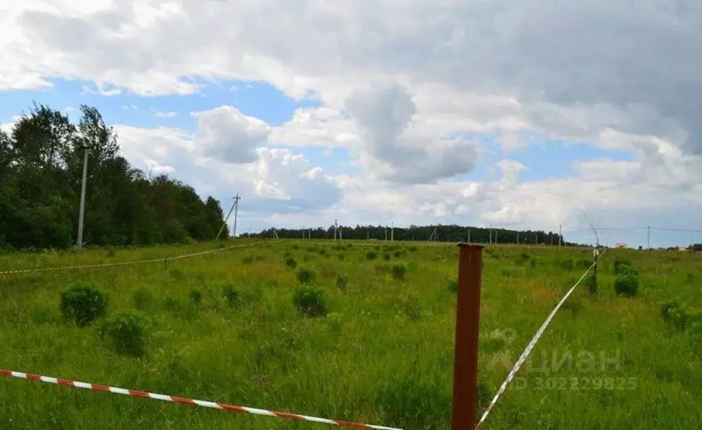 Участок в Белгородская область, Белгородский район, Беловское с/пос, ... - Фото 0