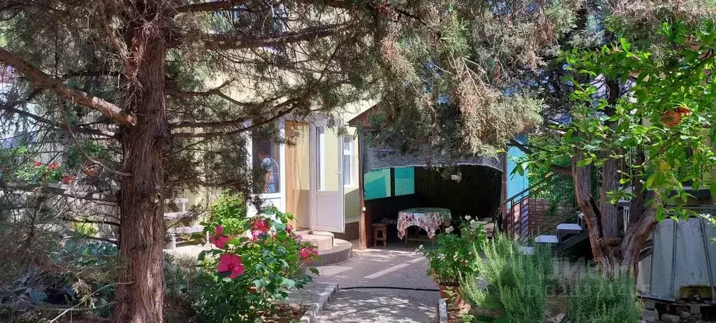 Дом в Крым, Судак муниципальный округ, Новый Свет пгт ул. Льва ... - Фото 1