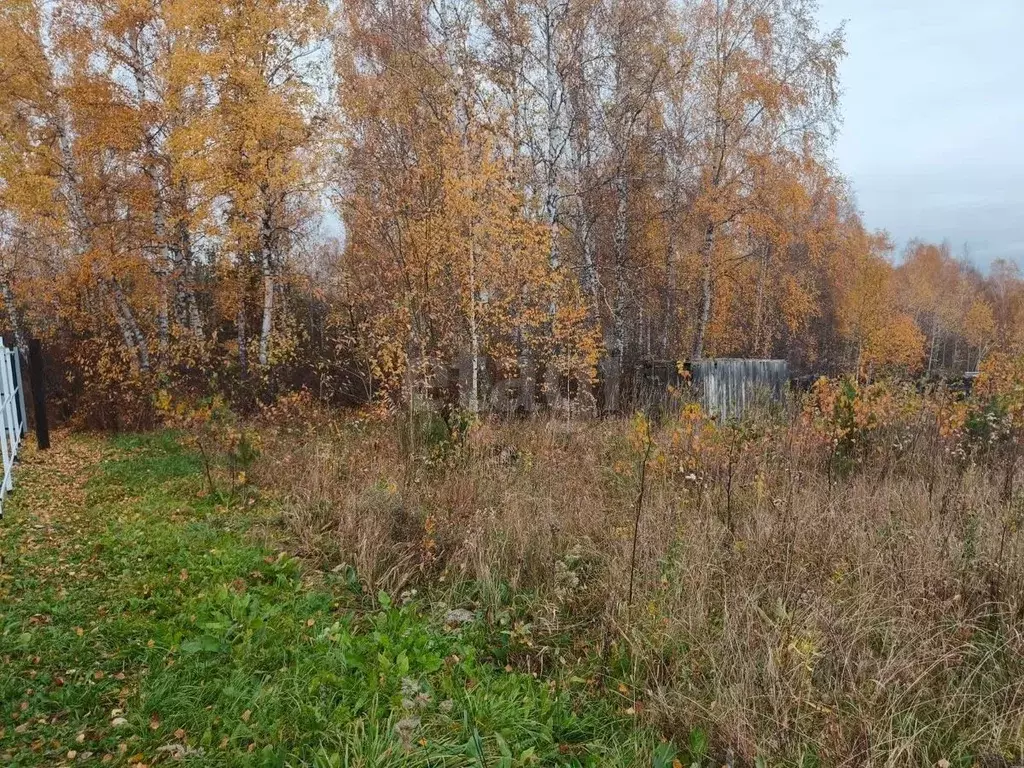 Участок в Красноярский край, Сосновоборский муниципальный округ, с. ... - Фото 1