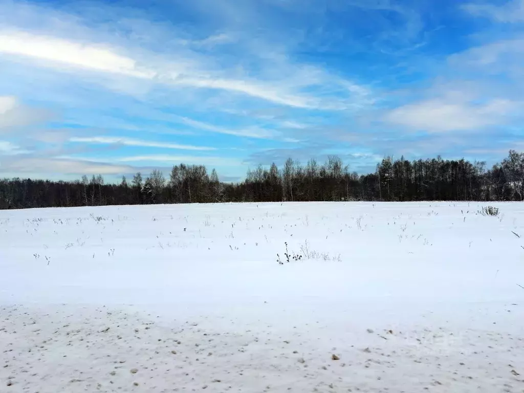 Участок в Московская область, Домодедово городской округ, с. Лобаново ... - Фото 1