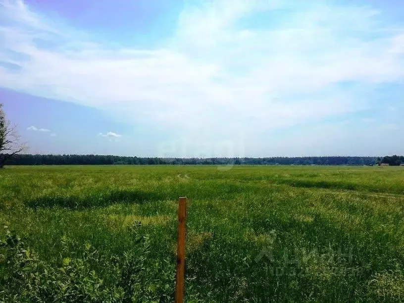 Участок в Башкортостан, Уфимский район, Михайловский сельсовет, д. ... - Фото 2