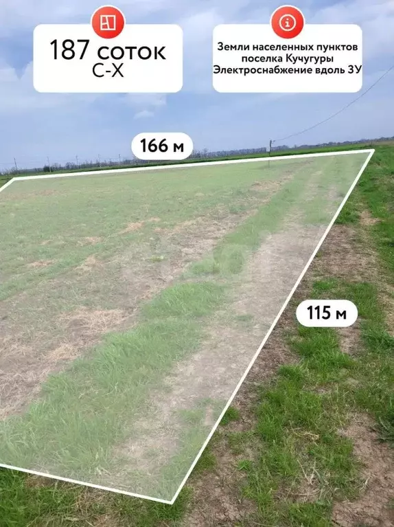 Участок в Краснодарский край, Темрюкский район, Фонталовское с/пос, ... - Фото 1