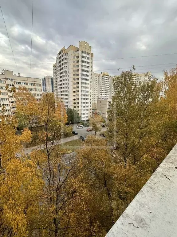 1-к кв. Санкт-Петербург просп. Королева, 19 (32.4 м) - Фото 0