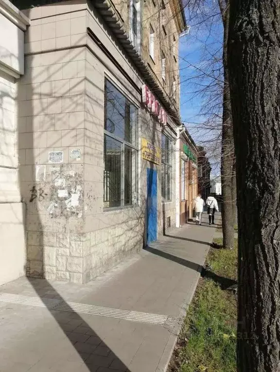 Торговая площадь в Воронежская область, Воронеж Пушкинская ул., 18 (78 ... - Фото 2