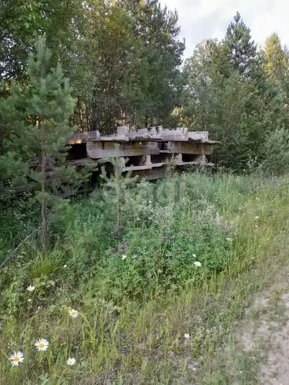 Участок в Свердловская область, Ревда муниципальный округ, с. Кунгурка ... - Фото 2