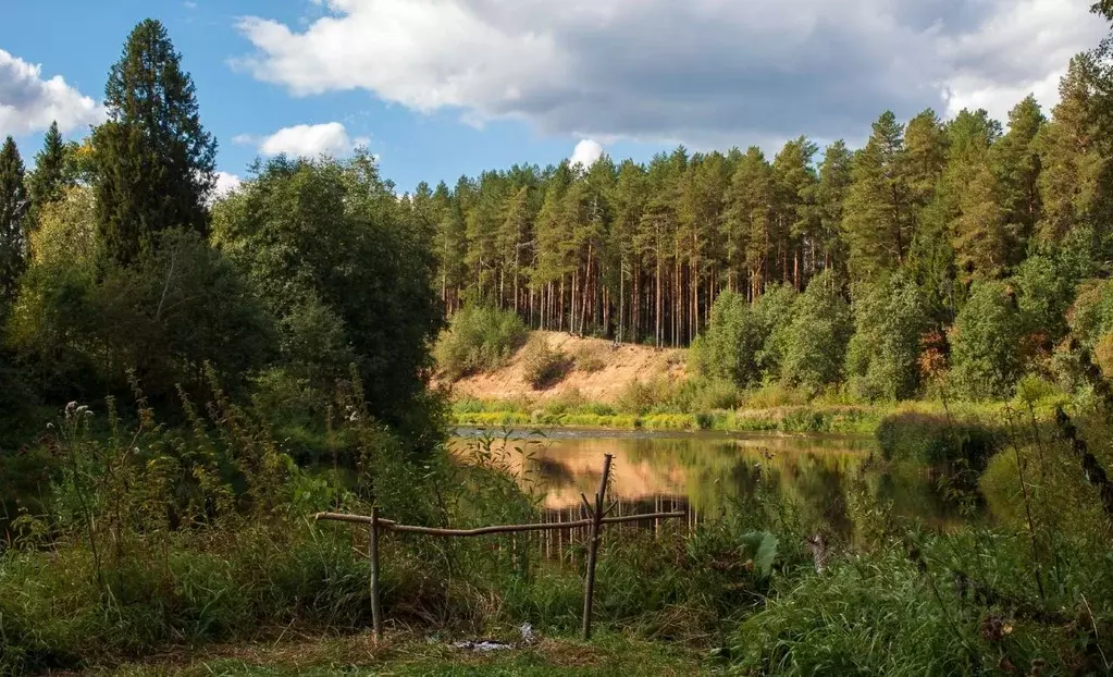 Участок в Кировская область, Кирово-Чепецкий район, Пасеговское с/пос  ... - Фото 0