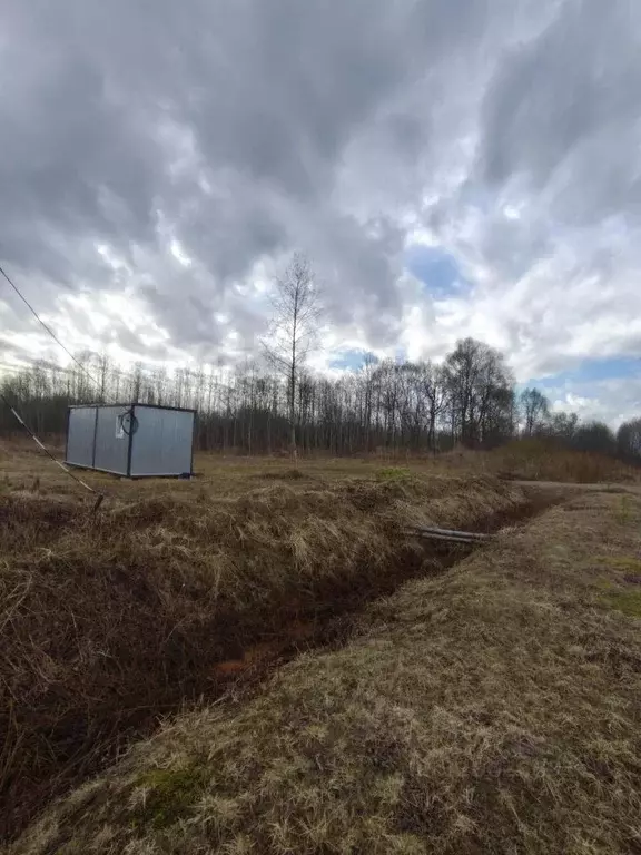 Участок в Новгородская область, Новгородский район, Бронницкое с/пос, ... - Фото 1