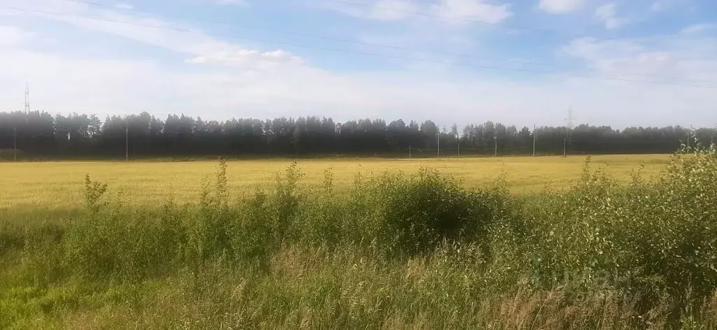 Участок в Кировская область, Слободской район, Ленинское с/пос, д. ... - Фото 0