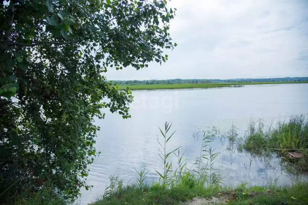 Участок в Новосибирская область, Искитим Зеленый Бор садовое ... - Фото 1