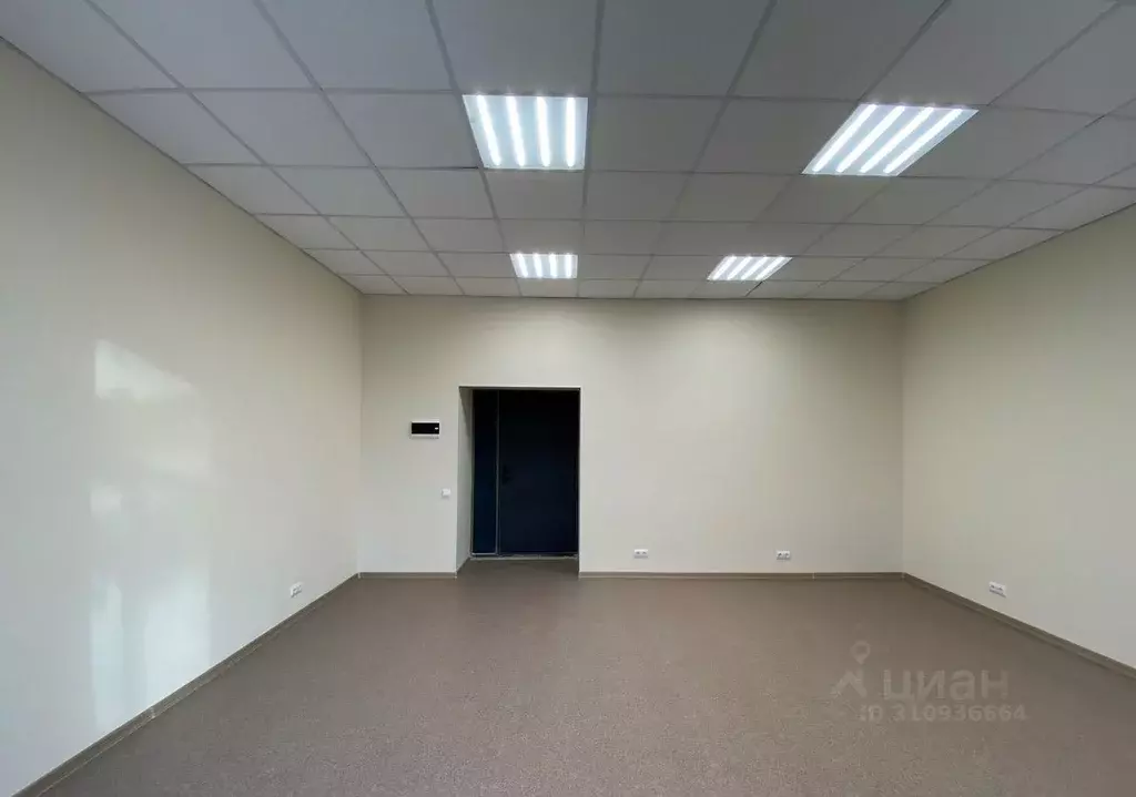 Офис в Нижегородская область, Нижний Новгород ул. Чаадаева, 5 (49 м) - Фото 1