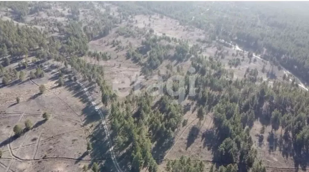 Участок в Бурятия, Тарбагатайский район, Саянтуйское с/пос, с. Нижний ... - Фото 2