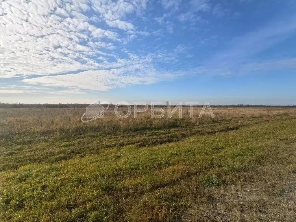 Участок в Тюменская область, Тюменский муниципальный округ, ... - Фото 2