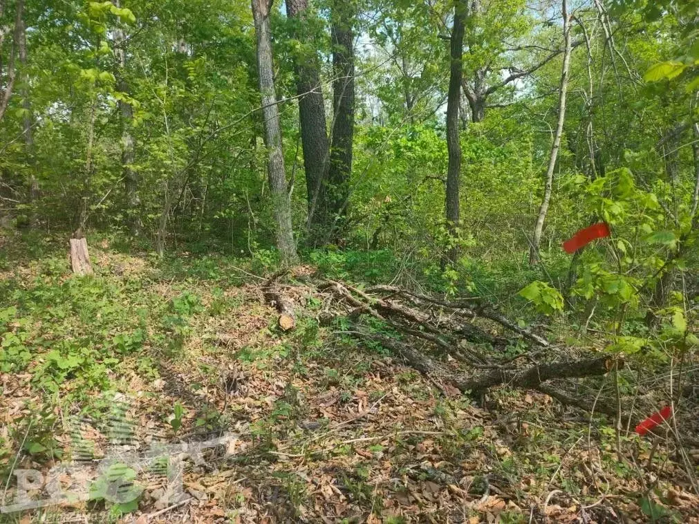 Участок в Приморский край, Артем Меркурий-1 садоводческое ... - Фото 2