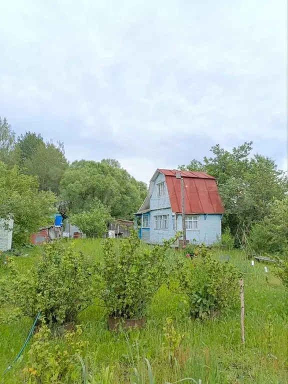 Дом 45 м на участке 11 сот. - Фото 1