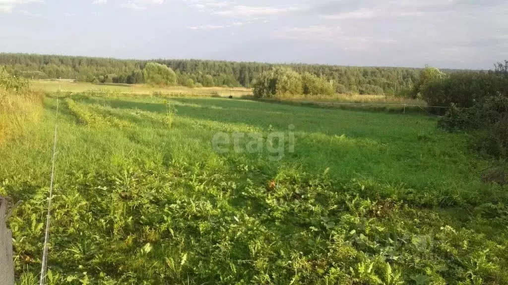 Участок в Воронежская область, Панино рп  (12.0 сот.) - Фото 1
