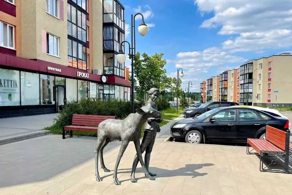 Студия Московская область, Мытищи городской округ, д. Шолохово ... - Фото 1