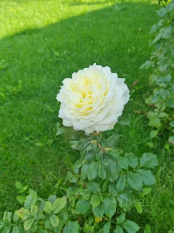 Дом в Волгоградская область, Городищенский район, Ерзовское городское ... - Фото 2