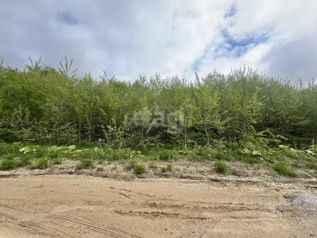 Участок в Сахалинская область, Южно-Сахалинск  (10.0 сот.) - Фото 1