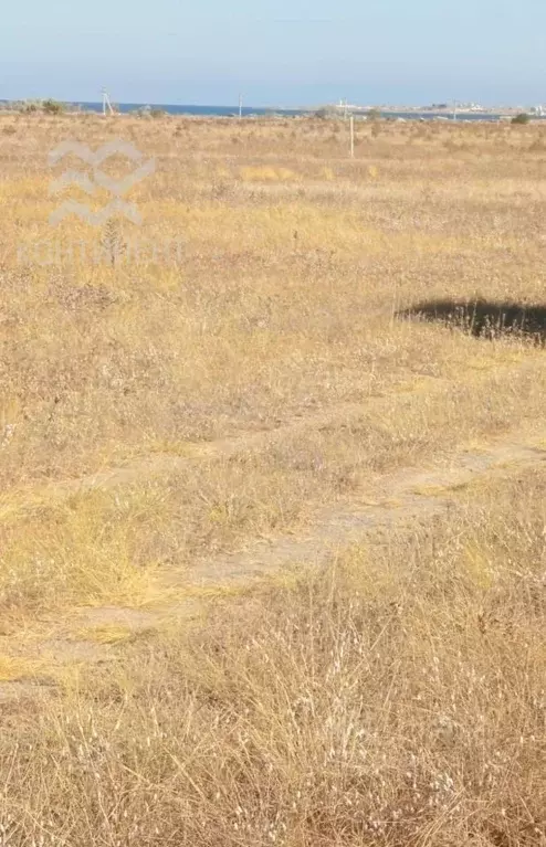Участок в Крым, Черноморский район, с. Межводное ул. Греческая (8.93 ... - Фото 2