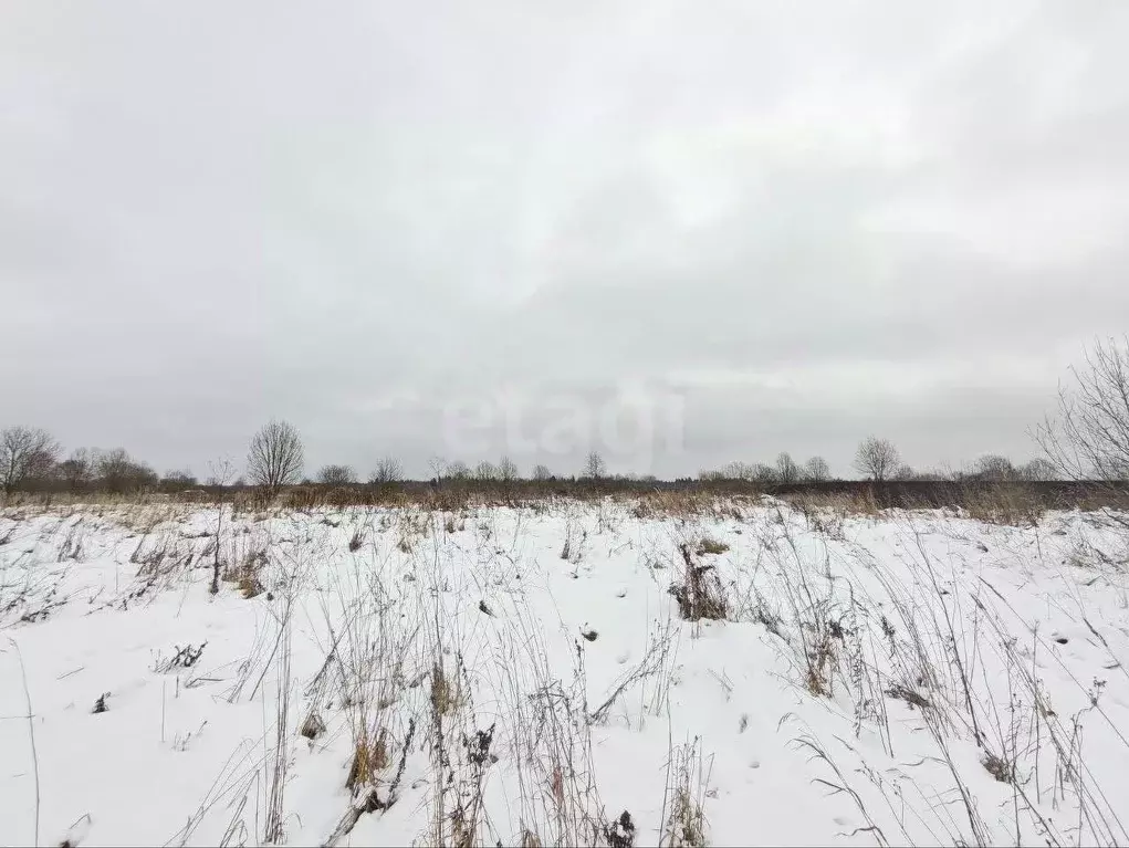 Участок в Ленинградская область, Волхов  (10.0 сот.) - Фото 1