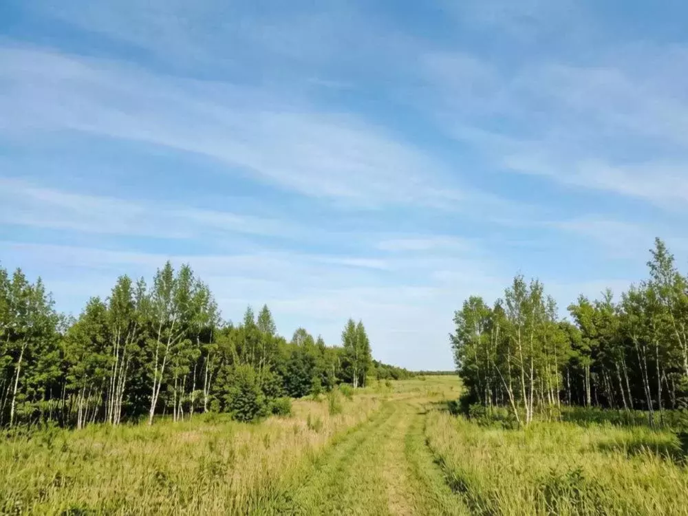Участок в Иркутская область, Шелехов  (2237.0 сот.) - Фото 2