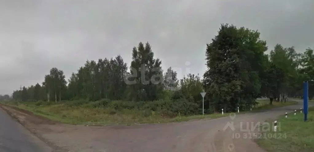Участок в Брянская область, Карачев  (511.0 сот.) - Фото 1