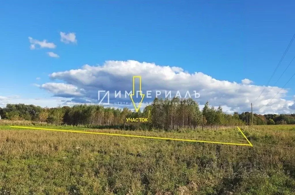 Участок в Калужская область, Жуковский муниципальный округ, Высокиничи ... - Фото 1