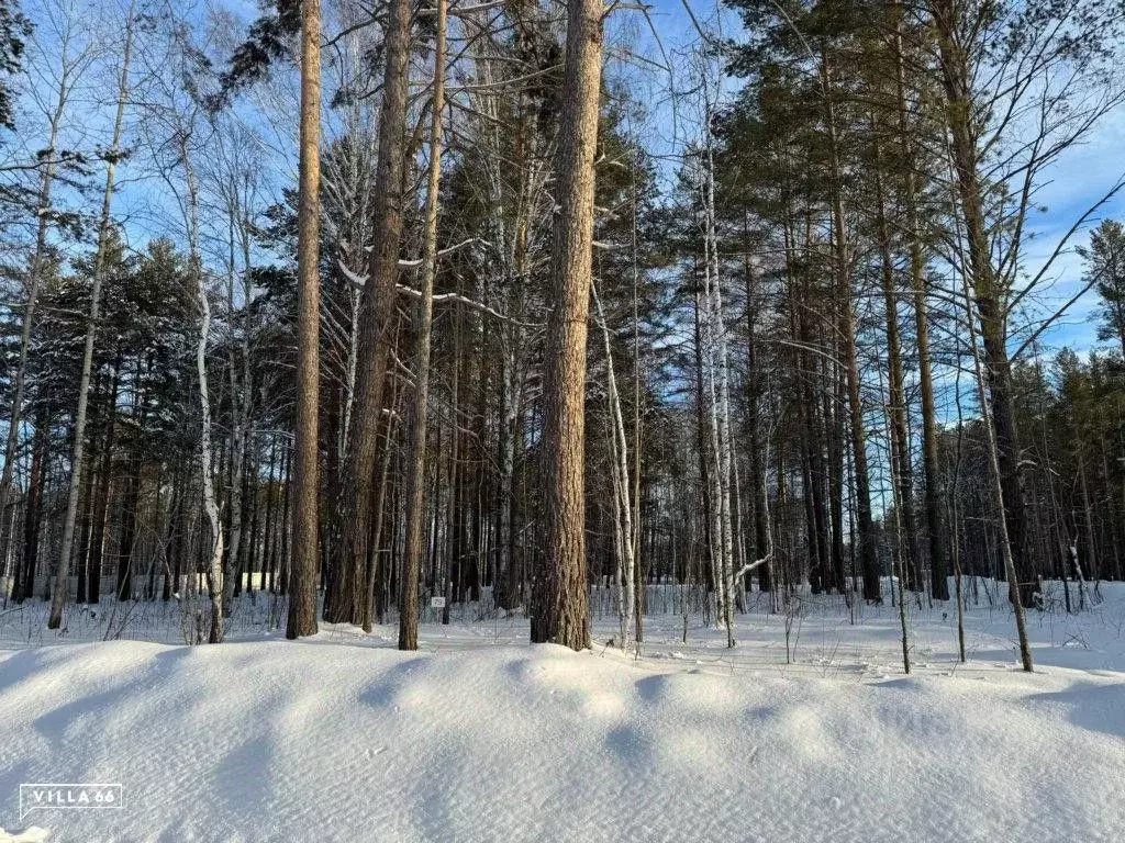 Участок в Свердловская область, Сысертский городской округ, пос. ... - Фото 0