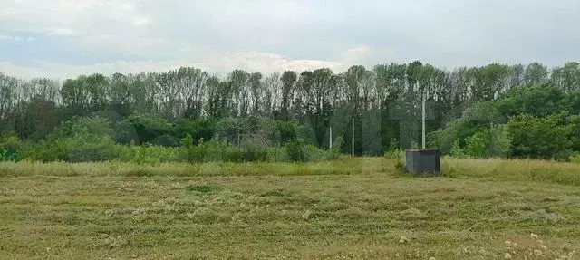 Участок 8 сот. (ИЖС) - Фото 0