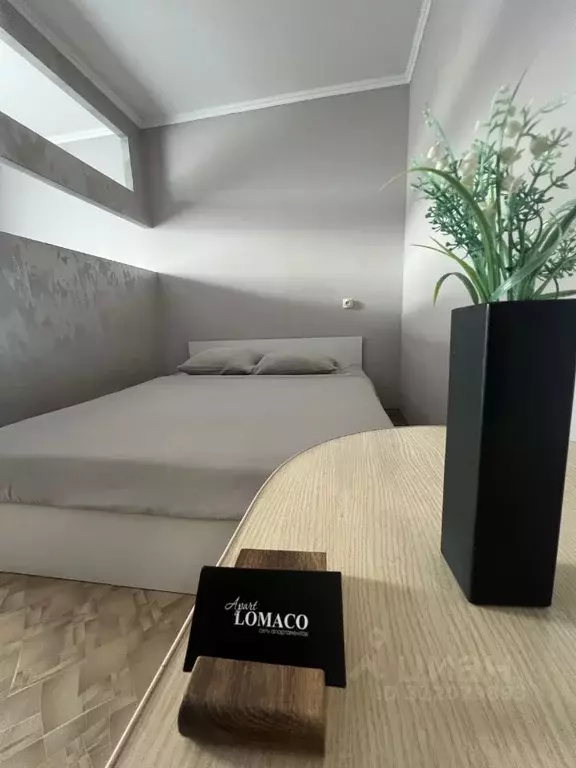 1-к кв. Амурская область, Благовещенск Зейская ул., 222 (39.0 м) - Фото 1