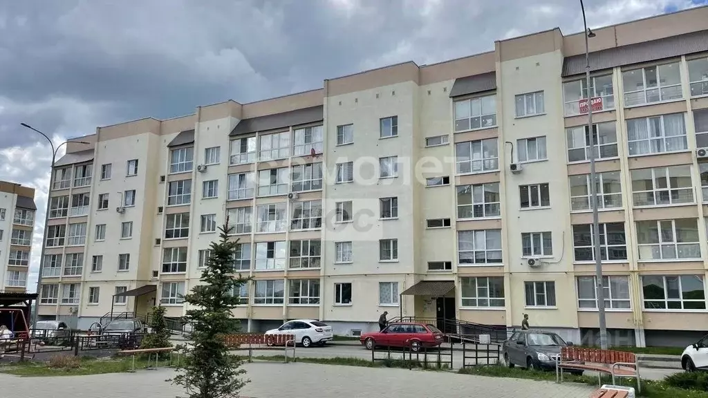 1-к кв. Пензенская область, Пенза Зеленодольская ул., 68 (41.1 м) - Фото 0