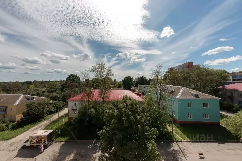 3-к кв. Брянская область, Брянский район, пос. Мичуринский Молодежная ... - Фото 0