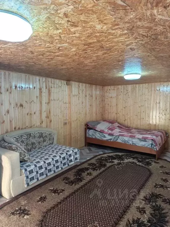 Дом в Липецкая область, Задонск ул. Мира, 23 (28 м) - Фото 2