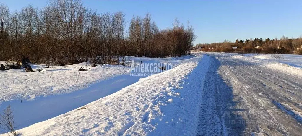 Участок в Ленинградская область, Приозерский район, Ромашкинское ... - Фото 1