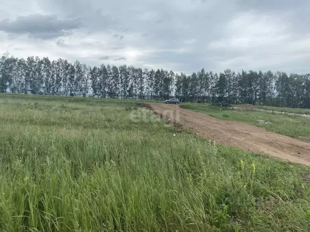 Участок в Башкортостан, Кармаскалинский район, Кабаковский сельсовет, ... - Фото 0
