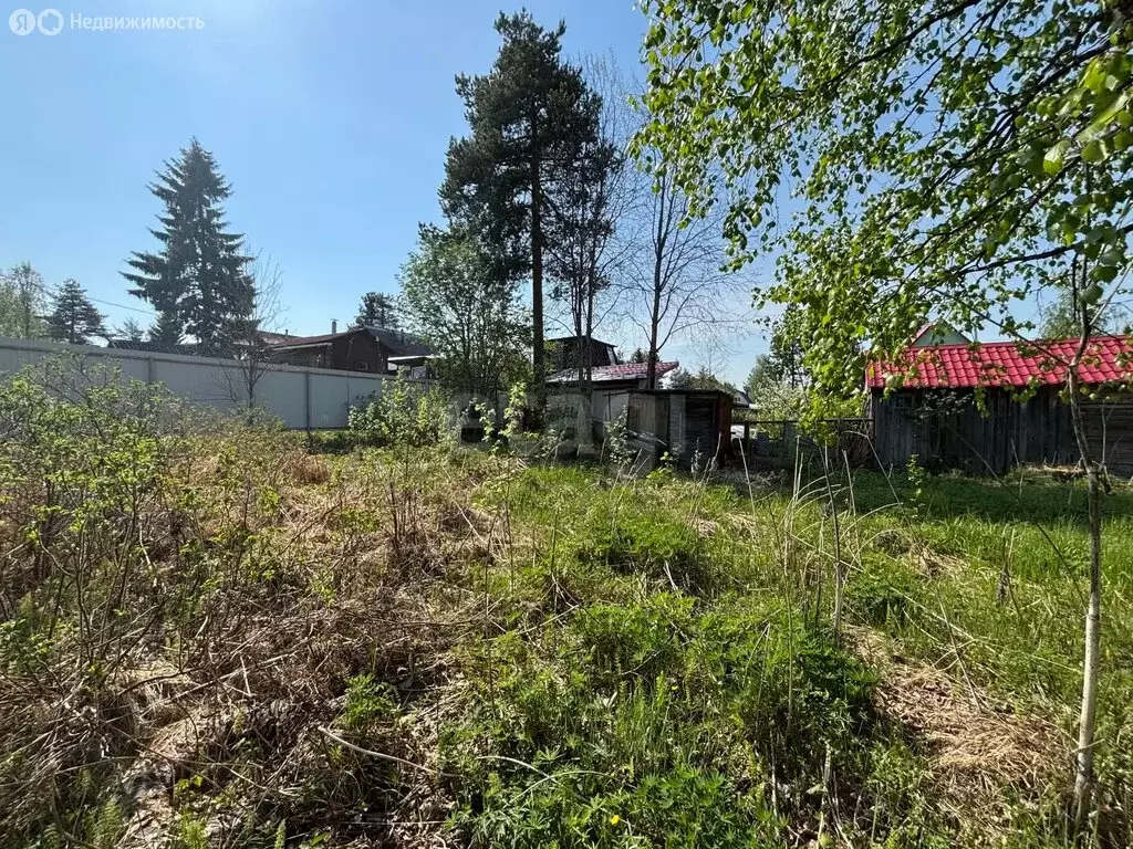 Участок в Архангельская область, Приморский муниципальный округ, СНТ ... - Фото 1