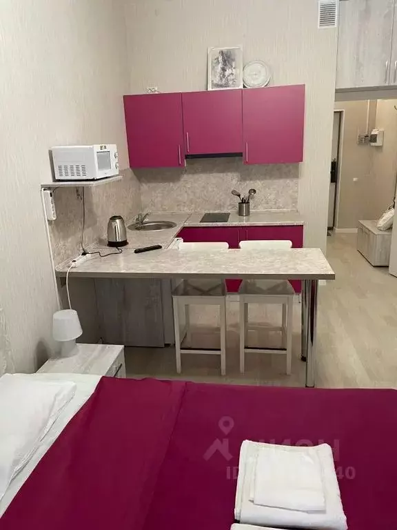 Студия Санкт-Петербург Пулковское ш., 14с6 (22.0 м) - Фото 1
