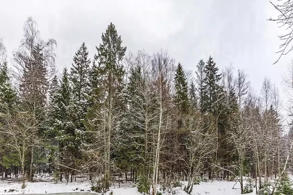 Участок в Московская область, Звенигород Одинцовский городской округ, ... - Фото 1