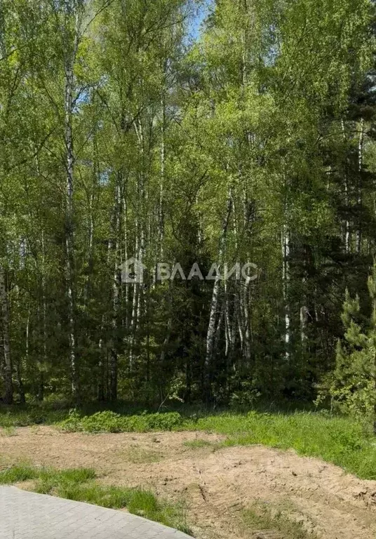 Участок в Владимирская область, Владимир д. Уварово,  (7.51 сот.) - Фото 2