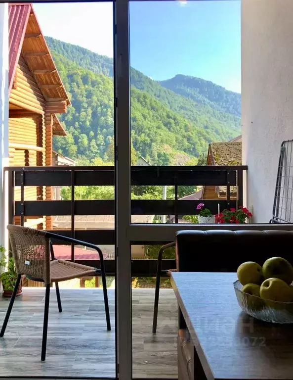 1-к кв. Краснодарский край, Сочи Красная Поляна пгт, ул. ГЭС, 5 (30.0 ... - Фото 0