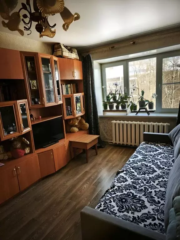 1-к кв. Московская область, Павловский Посад ул. Фрунзе, 10 (30.0 м) - Фото 1