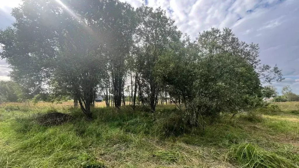 Участок в Московская область, Истра  (10.21 сот.) - Фото 1