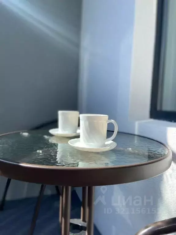 Студия Санкт-Петербург Пулковское ш., 95к3 (23.0 м) - Фото 2